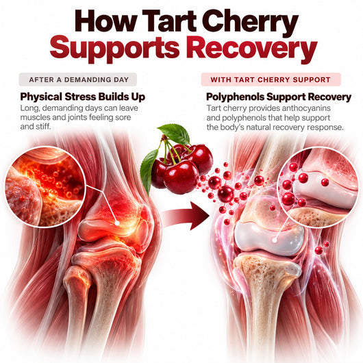 Tart Cherry Extract